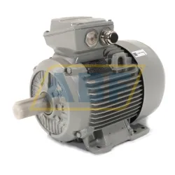 Электродвигатель 1MB1543-1CA03-4AA4 Siemens