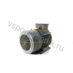 Электродвигатель 4RN220-0BA60-Z Rotor Nederland BV, 38 кВт