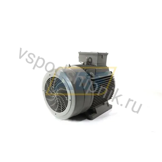 Электродвигатель 4RN220-0BA60-Z Rotor Nederland BV, 38 кВт