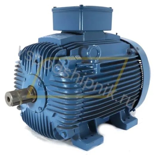 Электродвигатель 55K32CI0280S/M6B3 WEG, 55 кВт