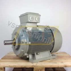 Электродвигатель 5RN280S02B0 Rotor Nederland BV, 75 кВт