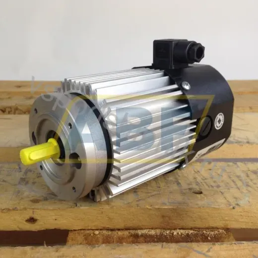 Электродвигатель 5XSA30B14/M63 Motor Power Company