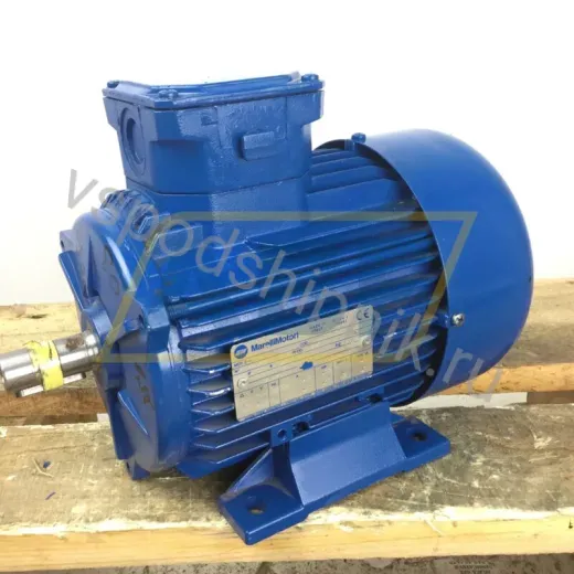 Электродвигатель A4C0813A00017 Marelli Motori, 0,55 кВт