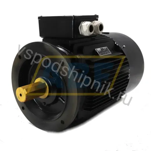 Электродвигатель AMN200LBB2B5 AEG, 45 кВт