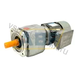 Электродвигатель C202F36.8S1-M1SD4FD Bonfiglioli
