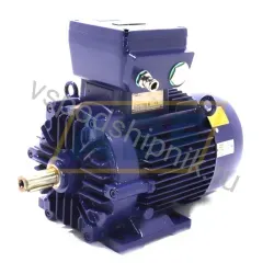 Электродвигатель DNGW-112MT-02A Loher
