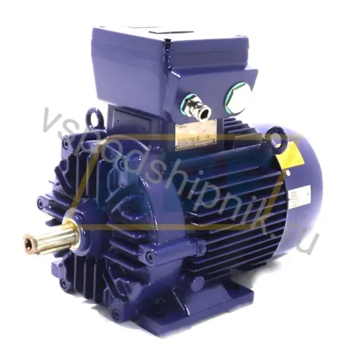 Электродвигатель DNGW-112MT-02A Loher