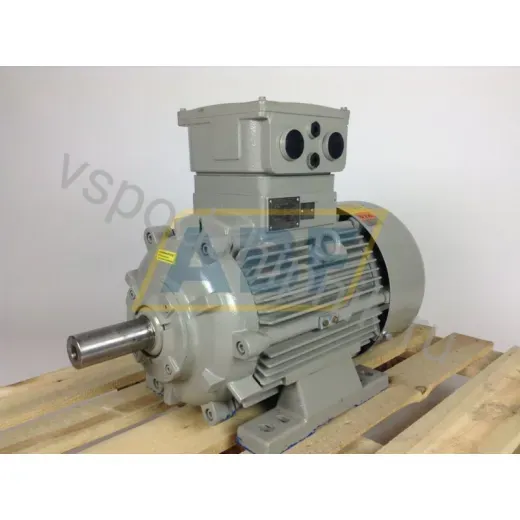 Электродвигатель DNGW-180LB-06AB3 Loher, 15 кВт