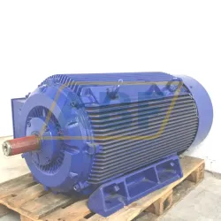 Электродвигатель 1LG6312-2MA60 Siemens, 315 кВт