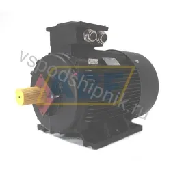 Электродвигатель HMC2-280S-4-B3 Hoyer, 75 кВт