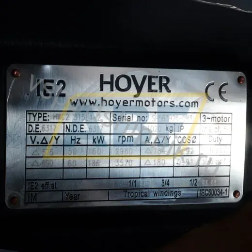 Электродвигатель HMC2-315L1-2 Hoyer, 160 кВт