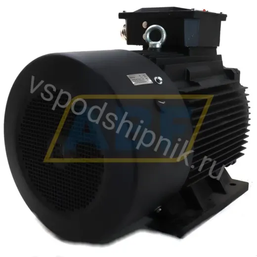 Электродвигатель HMC2-315L2-4-B3 Hoyer