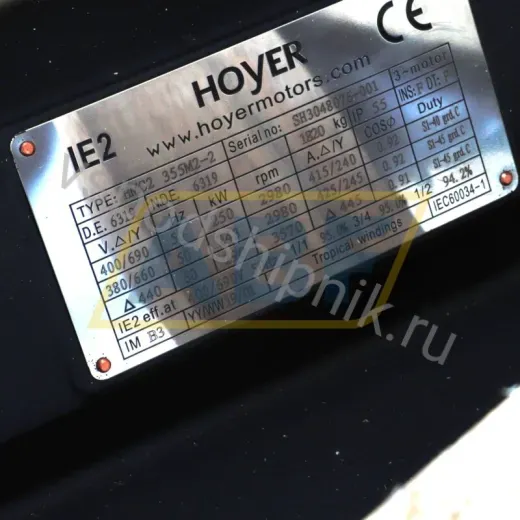 Электродвигатель HMC2-355M2-2-B3 Hoyer, 250 кВт