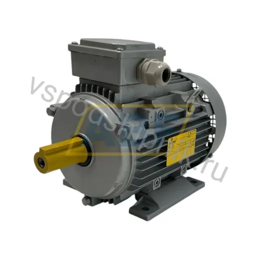 Электродвигатель JM100LA8B3 Seipee