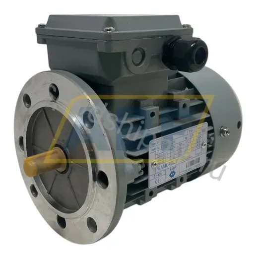 Электродвигатель MT0630B04145A WAMGroup