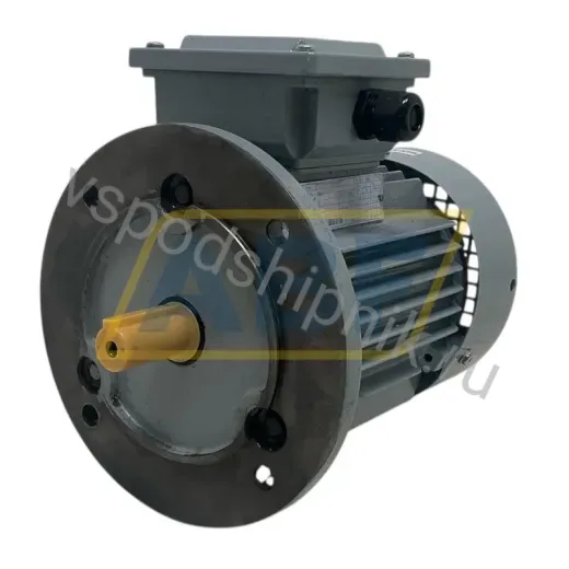 Электродвигатель MT0800A04145 WAMGroup