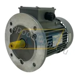 Электродвигатель MT0800B041451A WAMGroup