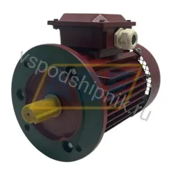 Электродвигатель MT0900L06145 WAMGroup
