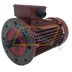 Электродвигатель MT0900L061452 WAMGroup