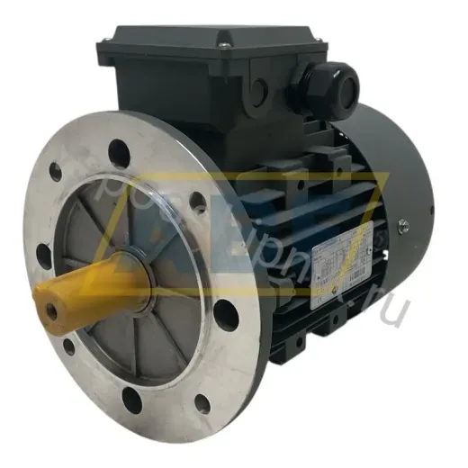Электродвигатель MT0900S041451A WAMGroup