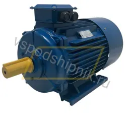 Электродвигатель MT1800L042432 WAMGroup