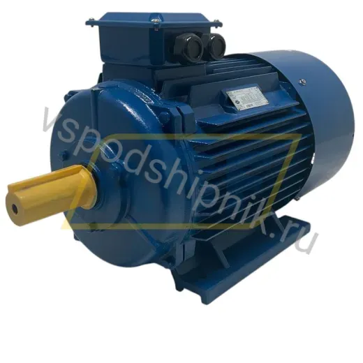 Электродвигатель MT1800L042432 WAMGroup