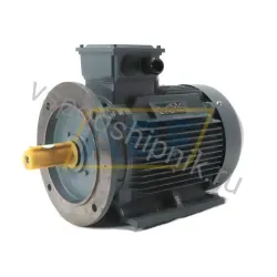 Электродвигатель OMT1-160M2-B35 Omec, 11 кВт