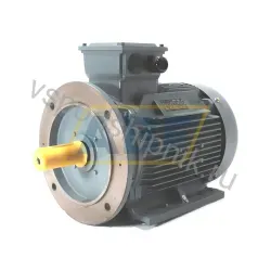 Электродвигатель OMT1-160MX2-B35 Omec, 15 кВт