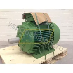 Электродвигатель Q2EP250M4D4B3 TEE Turk Electric, 55 кВт
