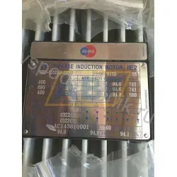 Электродвигатель SM2-315DA8-LLNS-PTCB3 Almo, 132 кВт