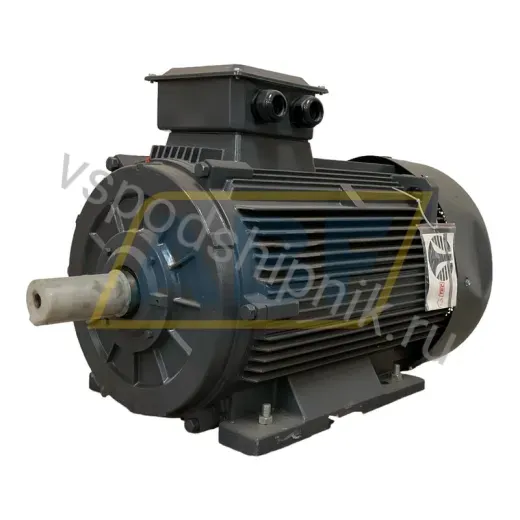 Электродвигатель T2C315-L2-4-B3 TechTop Motor, 200 кВт