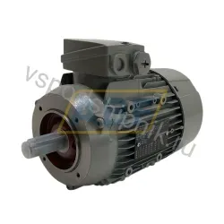 Электродвигатель 1TZ9001-0DB32-2KA4-Z Lönne