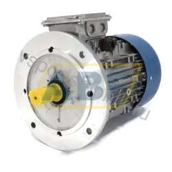 Электродвигатель TN100B/4B5 MT Motori Elettrici