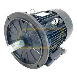Электродвигатель TXC184T5U4A-B35 TechTop Motor