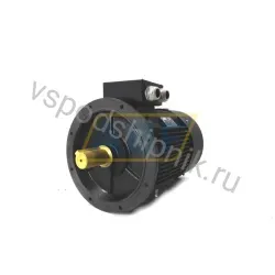 Электродвигатель AMN250MN4B5T AEG, 55 кВт