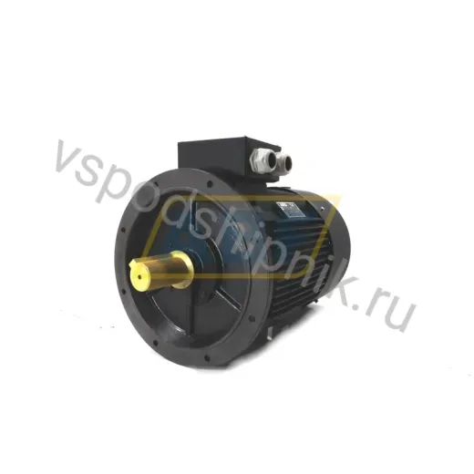 Электродвигатель AMN250MN4B5T AEG, 55 кВт