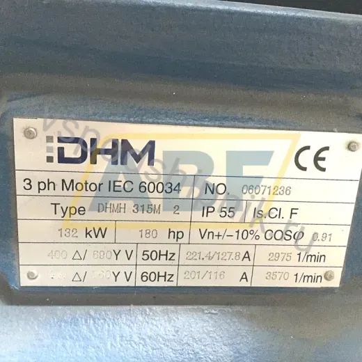 Электродвигатель DHMH315M2B5 DHM, 132 кВт
