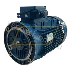 Электродвигатель HF132MC423040050B5 Rossi, 11 кВт