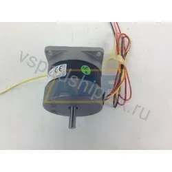 Электродвигатель HY20022200300BQ04 MAE
