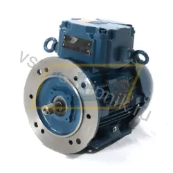 Электродвигатель 0.25K31CI2808B352G WEG