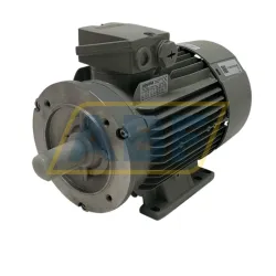 Электродвигатель 1LE1001-0EA42-2AA4 Siemens