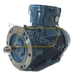 Электродвигатель 11K32CI2160ML2B352G WEG, 11 кВт