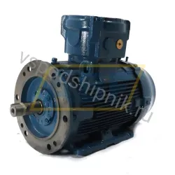 Электродвигатель 11K32CI2160ML4B352G WEG, 11 кВт