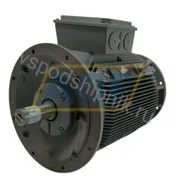 Электродвигатель 14BP2584FA61-Z Lönne
