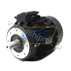 Электродвигатель 160H4420-B14S Fenner, 5,5 кВт