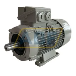 Электродвигатель 1LE1001-1AB63-4NA4-Z Siemens