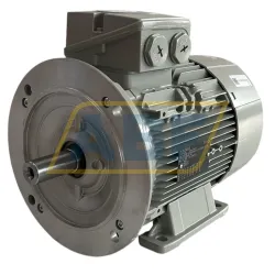 Электродвигатель 1LE1001-1BB63-4JA4-Z Siemens