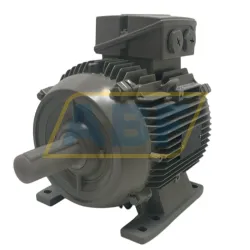 Электродвигатель 1LE1001-1CB24-0AA4-Z Siemens