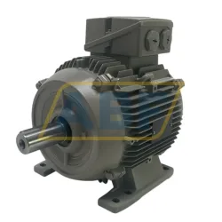 Электродвигатель 1LE1001-1CB29-0AA4-Z Siemens