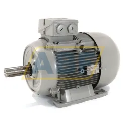 Электродвигатель 1LE1001-1DA23-4AA4-Z Siemens